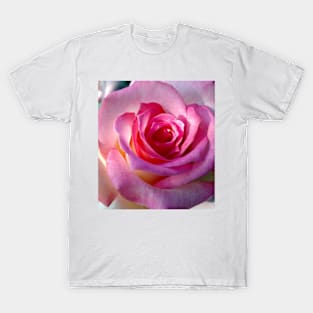 pink rose T-Shirt